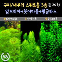 [비바소녀] 1탄 구피/새우의 스위트홈 3종(20촉)+서비스 암브리아6촉 펄글라스8촉 붕어마름6촉 구피은신처 마츠모 초보수초 레이아웃