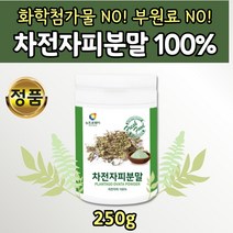 차전자피 100% 첨가물없는 화이버 분말 식이섬유 차전자씨 껍질 250g 식물성 부드러운 불용성 차전차피 자전자피 먹는법 학생 수험생 엄마 여자 여성 남자 남성 고시생 공시생 추천