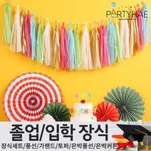 (주)파티해 졸업 입학식 장식세트 - 졸업풍선 데코 소품, C13_DIY데코태슬가랜드(5종)-레인보우
