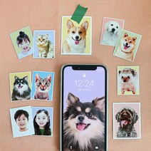 [1+1] 반려동물 증명사진 스티커 보정파일 무료제공, 8컷세트(반명함3*4), 재단해주세요, (1+1)리뷰할게요