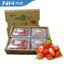 하동 옥종 딸기 2kg 중 상 특, 03_딸기2kg(특), 상세설명 참조