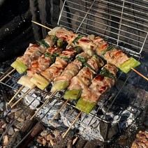 캠핑 닭꼬치 4개(500g) 두툼한 닭다리살 꼬치 데리야끼소스 무료 캠핑 밀키트