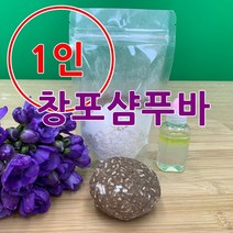 [더위치] 더위치 1인 DIY 창포 샴푸바 10개 만들기 키트 비대면 교육 천연 자연