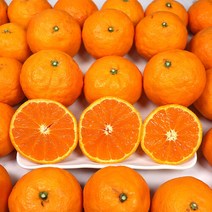에바다 [미네픽] 고당도 달콤한 제주 카라향 감귤 황금향 선물용 10kg, 단품없음