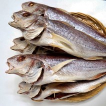 사그담 속초 중앙시장 맛집 반건조 냉동민어(대서양조기속) 36cm 3마리, 단품, 1개