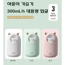 야옹이 가습기 애완 고양이 300ml 대용량 미니 가습기 USB가습기 무드등 필터 5개 포함 KC인증 대량 구매, 민트