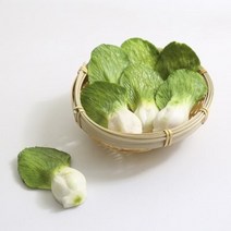 청경채 모형 1P