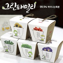 사무실 이쁜 인테리어 예쁜 베란다 화분 토분 그린패밀리_잔디화분 HB+4859EA