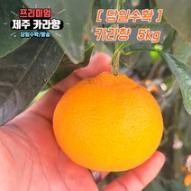 당일수확 고당도 제주 카라향 가정용 3kg 5kg 10kg 제주도귤, 선택1. 혼합과_못난이 5kg, 1개