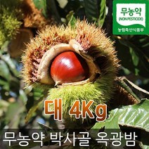 박사골 밤농원 박사골옥광밤/ 2021년 햇밤, 1개, 4kg(대)
