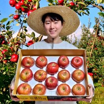 고당도 청송 고랭지 사과, 부사 정품 중과 5kg (16~18과)
