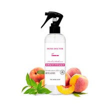 홈닥터 악취제거 룸스프레이 200ml 스모크 화장실냄새