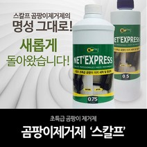 스칼프 곰팡이제거제 750ml 항균 외벽이끼제거
