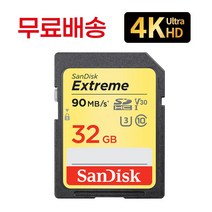 샌디스크 4K 파나소닉 루믹스 DC-GX9 메모리 32기가 SD카드, 32GB