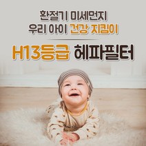 삼성 AX041FCV 필터 국내산 H13등급 공기청정기 CFX-B100D CFX-2TCD 블루스카이 3000, 1.CFX-B100D 일반형