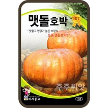 주주씨앗 맷돌호박 30립 / 토종 늙은호박 씨앗 종자 재배 텃밭가꾸기 채소심기 천둥호박, 1개