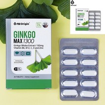 NZ 징코맥스1300 기억력개선 은행잎추출영양제 혈행개선영양제