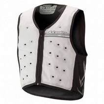 알파인스타 Alpinestars 쿨링 베스트, L-XL Light Gray / Dark Gray