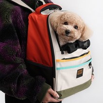 애견 고양이이동가방 애견배낭 이동