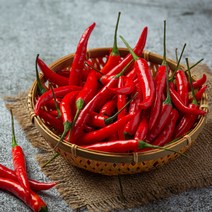 국내산 홍고추 특품 1kg 3kg 5kg 10kg [노블프레쉬], 홍고추 (특품) 1kg, 1개