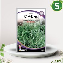 로즈마리 씨앗 30립 다년생 원기회복 허브 씨앗 종자, 단품