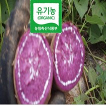 [ 해야농장 ] 특품 유기농자색 해수 고구마 친환경 3kg. 5kg 10kg KBS 한국의밥상방송 481회 인간극장방송 등, 1box, 유기농 자색 고구마 꼬맹이 10kg