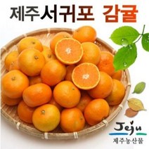 노지감귤 4.5kg소과(2S) / 4.5kg로얄과(S-M), 쿠팡 4.5k로얄과 S-M, 쿠팡 본상품선택