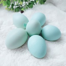 게르마늄청란 난각번호1번 방사유정란 무항생제 20구 이노바이오팜, 청란 20구