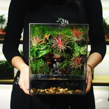 열대 우림 비단이끼 마이크로 풍경 분재 화분 수출, 야생의 숲 완제품(조명 미포함)