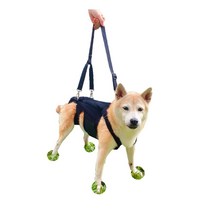 강아지 척추 보조기 반려견 재활 슬개골 허리 디스크, XXL 등 길이 48-52cm