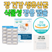 강춘건강몰 프로바이오틱스 신선한 생유산균 200억 마리 식물성 장용 캡슐 살아서 장 까지 모유 김치 유래 어린이 노인 할머니 할아버지 온 가족 LGG 락토바실러스 비피더스, 3통 6개월분