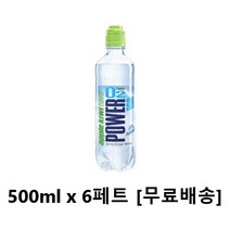 사랑주는쇼핑몰 파워 오투 애플키위향 500ml x 6페트, 6개