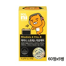 마이니 스트레스 케어 비 홍경천 추출물 로디올라 로사빈 효능 고함량 비타민 B군 B1 B2 B6 B12 비오틴 나이아신 판토텐산 활력 피로회복 릴렉스 영양제 수험생 직장인, 단일상품5, 마이니 스트레스케어비 700mg*60정 (병포장)