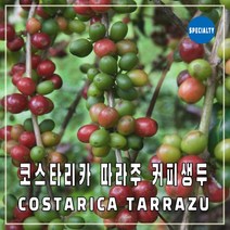 (커피생두) 54 코스타리카 따라주 워시드 1kg