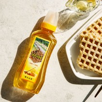 내장산 천연벌꿀 [아카시아꿀 500g(튜브형)], 단품, 단품