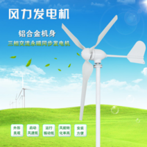1000W3000W 24V48V220V 소형 풍력 발전기 세트 전원주택 발전 자전거 가정용 차량 태양광 선박용, 단일사이즈, 400W 5단 24V 컨트롤러