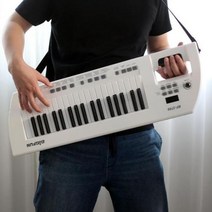 전자올겐 디지털 피아노 입문 키보드 37 아이 기타 성인 음악, 큰 흰색