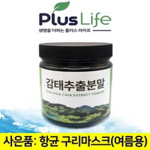 제주도 감태 분말 가루 추출물 잠태 꿀잠 수면 숙면 도움 후쿠이단 플로로탄닌 알긴산 요오드 자연유래 효능 효과 갱년기 여성 남성 직장인 대용량 약국 추천 빨아쓰는 패션 구리 마스크