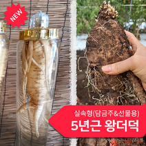 제주흙더덕 실속형(왕더덕)최상품 1~3kg, (왕더덕) 1kg