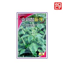 참들깨 씨앗 안산참깨 태강참깨 가정 텃밭 채소씨앗, 슈퍼참들깨 20g, 1개