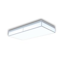 10평대 원룸 방등 LED 거실등 2등 60W LED거실등 led조명등, 화이트