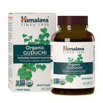 히말라야 Guduchi 구두치 티노스포라 450mg 60캡슐, 1개, 기본