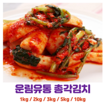 국내산 우리농산물 총각김치 1kg 2kg 3kg 5kg 10kg, 총각김치 10kg, 1개