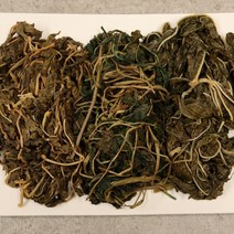 이천 자연산 나물세트 취나물 피마자 다래순 나물(세트주문시 무청 증정), 피마자1kg