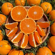 세상모든농부 제주 고당도 카라향 감귤, 소과, 2kg