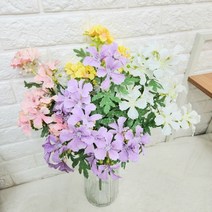 로즈제라늄다발, 옐로우