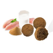 고양이 연어맛 치아 관리 보충제 70g 4개 고양이사료 사료 펫푸드 일반사료 소화 고양이임신사료 영양식