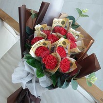 러블리팜 조화 카네이션10 돈꽃다발, 레드, 10개