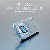 슬림 블루투스 스피커 휴대용 플러그인, 그레이