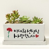 교수님 선생님 사랑합니다 - 카네이션 장식이 있는 스승의날 선물 캘리 화분, 와이드화분(+18000원), 화이트, 뒷면인쇄선택(+5000)